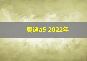 奥迪a5 2022年